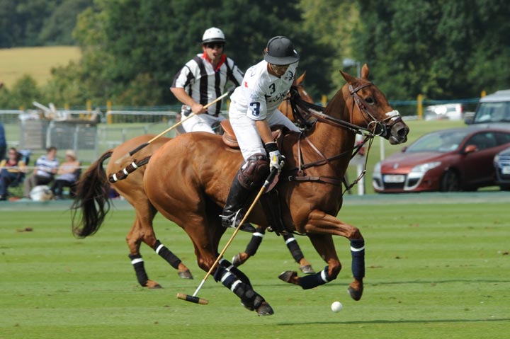 Polo Rules. The rules of polo are written and used to provide for the  safety of both players and horses.