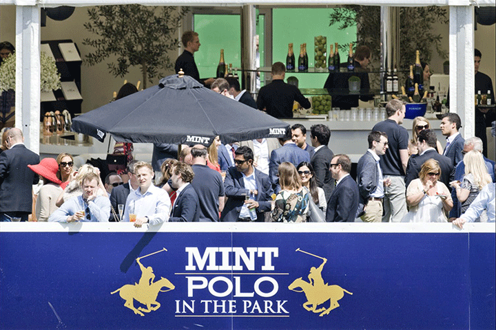 Event Sponsored by Camino Real, Polo in the Park, 2013