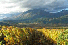 wine route argentina