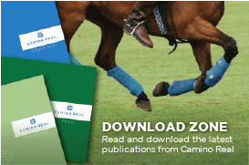 download zone, read and download the latest publications from camino real