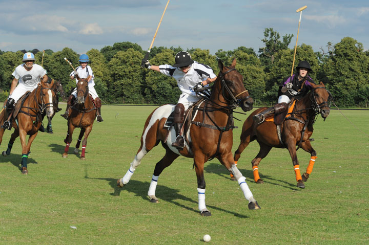 polo for heroes