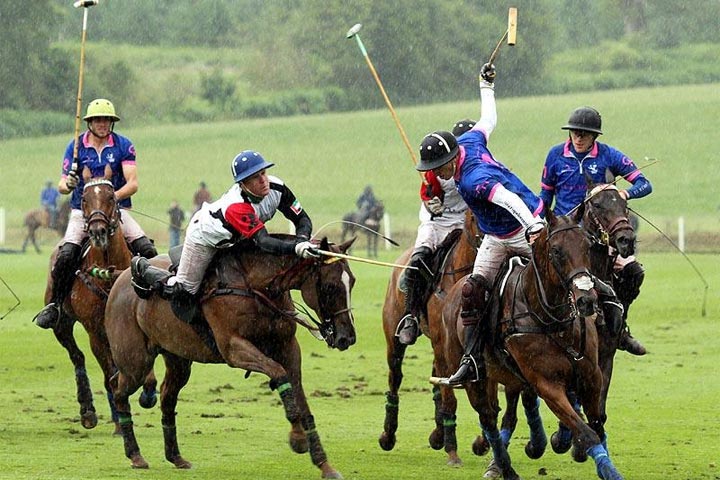 veuvet gold cup 2012 cowdray park finals winners