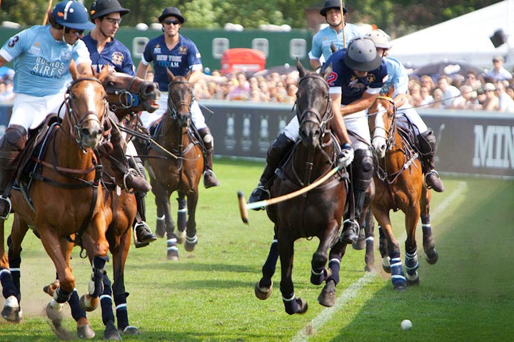 mint polo in the park 2012, london, hurlingham park, gallery